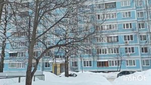 Меховые котики моя страсть/ много работ/ прогулка/ распаковка