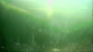 1000008882.mp4Волга гл.2м.13.02.2026г.