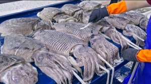 Процесс массового производства шариков из каракатиц. Корея