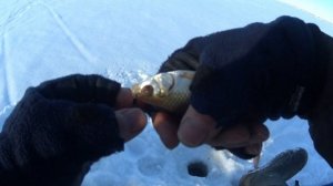 Сестрорецкий Курорт. 13.2.26