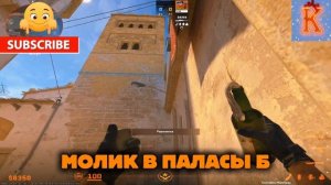 МОЛИК ПАЛАСЫ Б