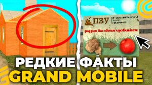 РЕДКИЕ МЕСТА И ФАКТЫ НА ГРАНД МОБАЙЛ. СЕКРЕТНЫЕ ФИШКИ И ФАКТЫ в GRAND MOBILE ( crmp mobile )