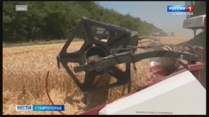 «Вести. Ставропольский край» 12.02.2026 (21.10)