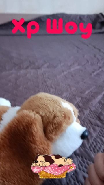 Толикус мило храпит смотреть онлайн