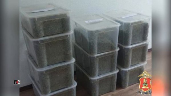 ПС - 13 февраля 2026