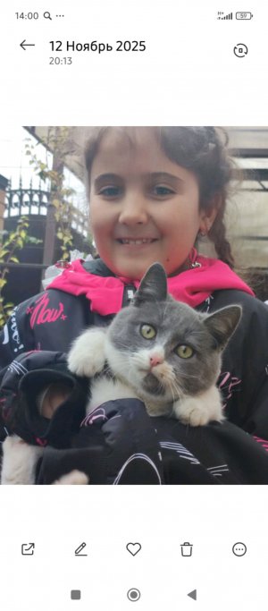 Таисия щелкунова