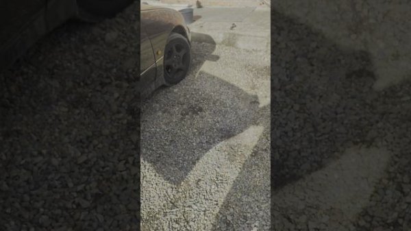 Видео обзор