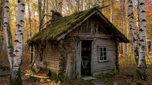 Кто досмотрит тот поймет