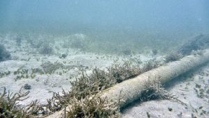 В Балтийском море отключен кабель между Польшей и Швецией