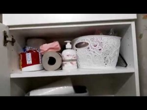 Обзор санузла - план действий)