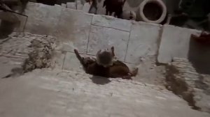 Официальный трейлер "Житие Брайана по Монти Пайтон / Monty Python's Life of Brian (1979)"