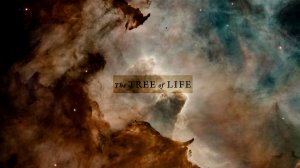 The Tree of Life (Vikentiy Sound Video Edit) (2025)