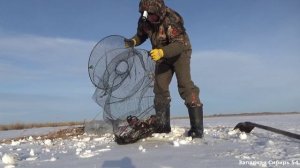 Проверка мордушек. Я был в шоке от улова. Рыбалка в Сибирской глубинке.