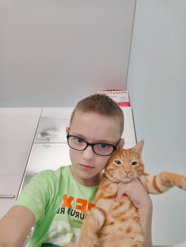 Отвечаю на вопросы