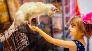 Принцесса-Ангелина зовет Степу, Маню и Басика ПОИГРАТЬ!