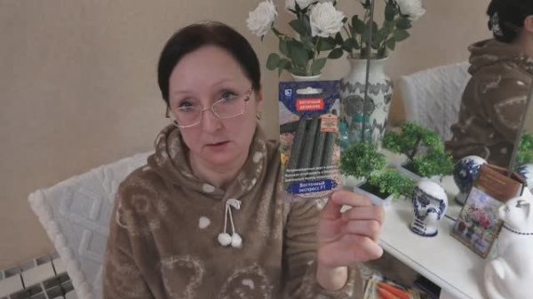 Февраль 2026 Морковь Аленка. Огурец Восточный экспресс. и др семена. Сею Виолу пророщенными семенами