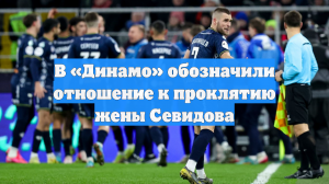 В «Динамо» обозначили отношение к проклятию жены Севидова