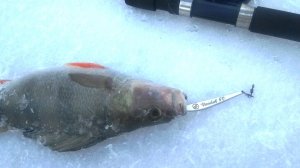 Распаковка посылки с блесной Эко-Про Vandal New