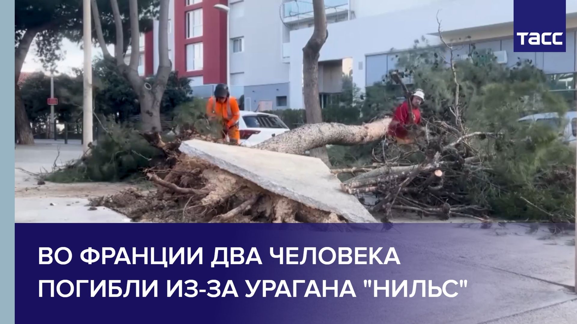 Во Франции два человека погибли из-за урагана "Нильс" смотреть онлайн