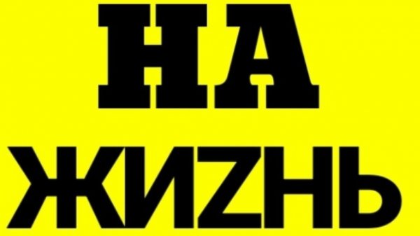 Обогащаюсь на мусорках Москвы. N 177 .