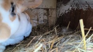 Вот так получилось ,после ремонта.Наши будни.Жизнь на Кубани.