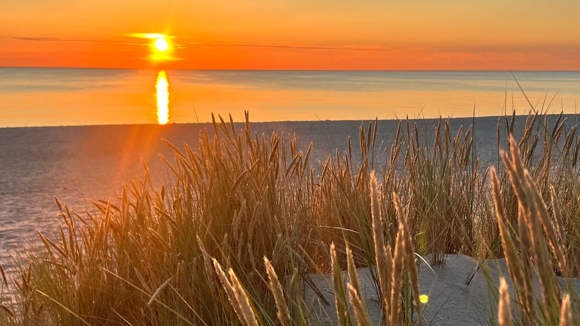 Yotto - The Owls (Original Mix) смотреть онлайн