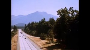 Официальный трейлер "Дикая любовь (1995)"