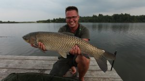 Ловля амура в Завидово. Часть первая.