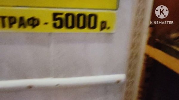 Дети , волжане, прислали видео.А у нас..ветер!