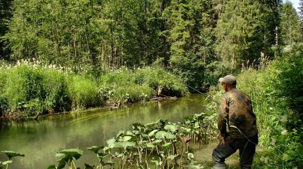 Ловля хариуса на небольшой речке #554