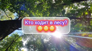 7.09.2024 В лес за ИНТЕРНЕТОМ!☘️