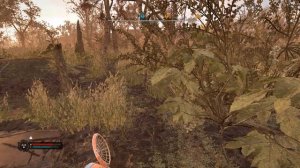 СТАЛКЕР 2. Нашёл артефакт ПЛЕСЕНЬ в Плавнях на Затоне.