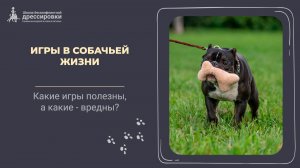 Игры в собачьей жизни. Вредные и полезные