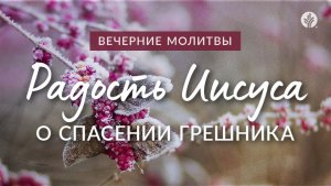 РАДОСТЬ ИИСУСА О СПАСЕНИИ ГРЕШНИКА | Вечерние размышления