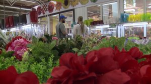 День святого Валентина: любовь или маркетинг? Что думают жители Новосибирской области