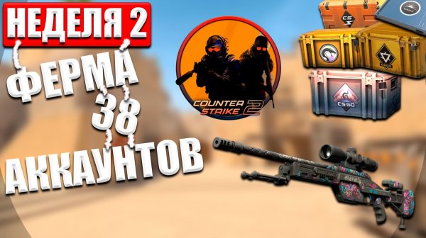 НЕДЕЛЯ 2. Ферма из 38 аккаунтов в CS2: реальный доход и подводные камни