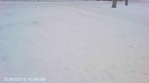 По рекомендации ГО и ЧС администрации нашего г.п.г. Краснослободск Федина В.Е. сжигаю мусор на снегу