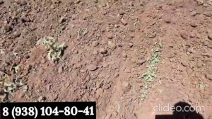 Культиватор не забивается травой СКР Карбон К12000