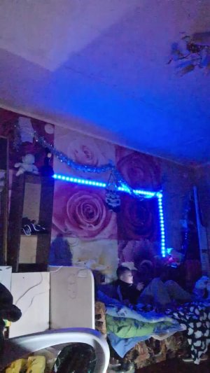 стрим мадаут 2