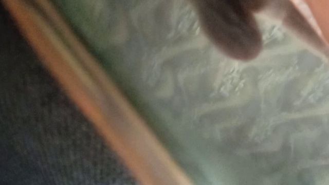 VID_20260212_190059.mp4 смотреть онлайн