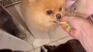 Сегодня все хрустят с большим удовольствием.