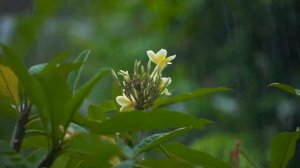 Расслабление, сон, восстановление сил, восстановление энергии, relaxation, sleep