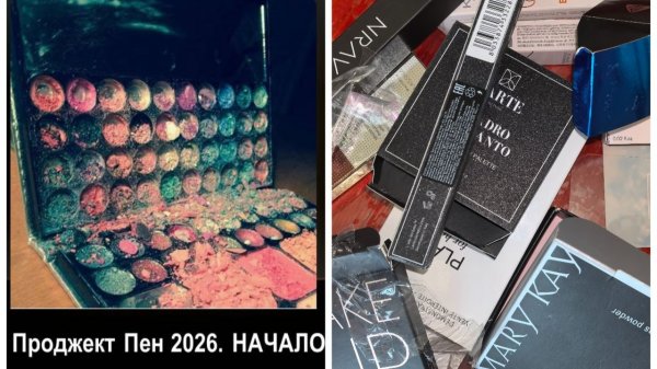 Проджект Пен 2026. НАЧАЛО (project pan 2026). И так... поехали!!!