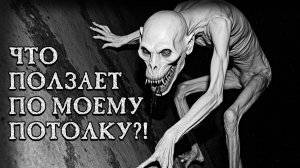 ЧТО ПОЛЗАЕТ ПО МОЕМУ ПОТОЛКУ?! Страшные истории на ночь. Страшилки на ночь.