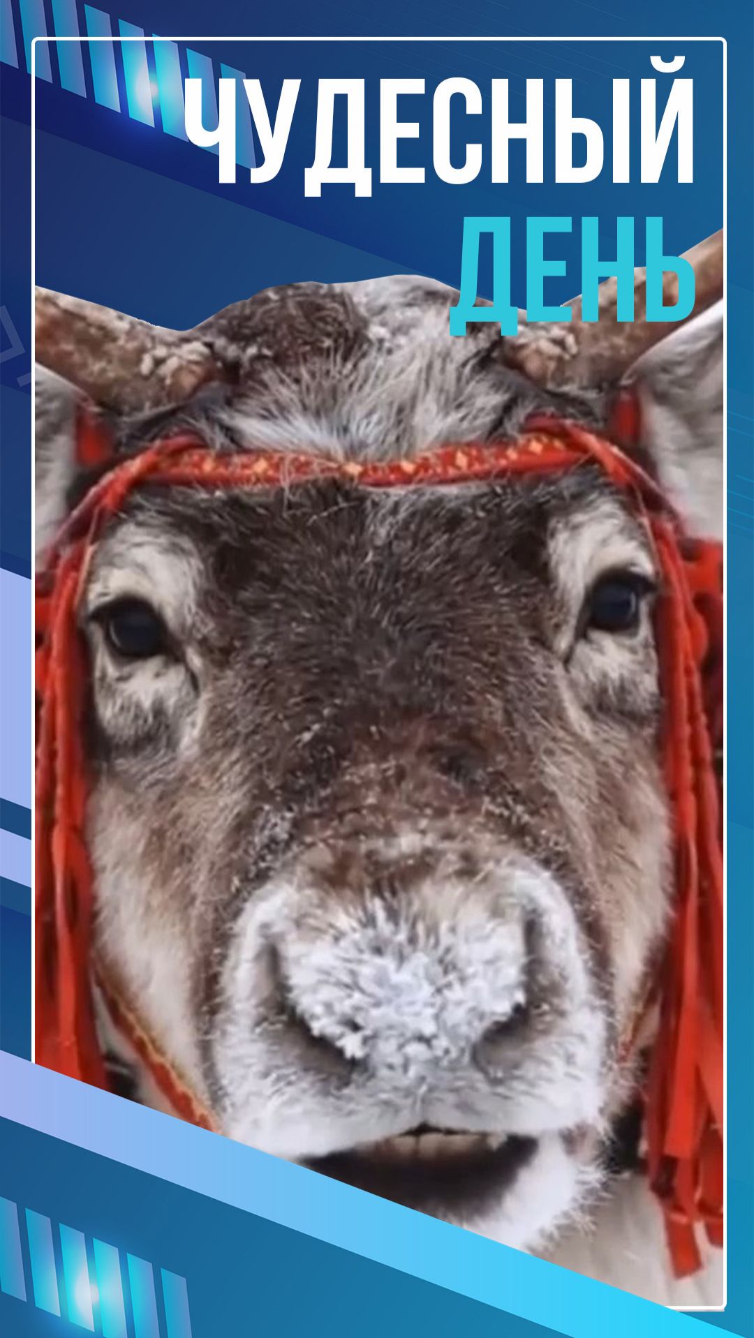 Какой чудесный день