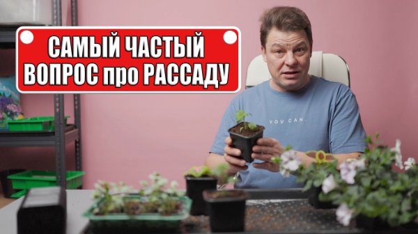 Самый частый вопрос, который мне задают про рассаду