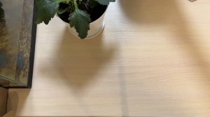 СП ДОБИВАЮ НЕДОВЯЗЫ-5/ 2026 / отчёт N 7