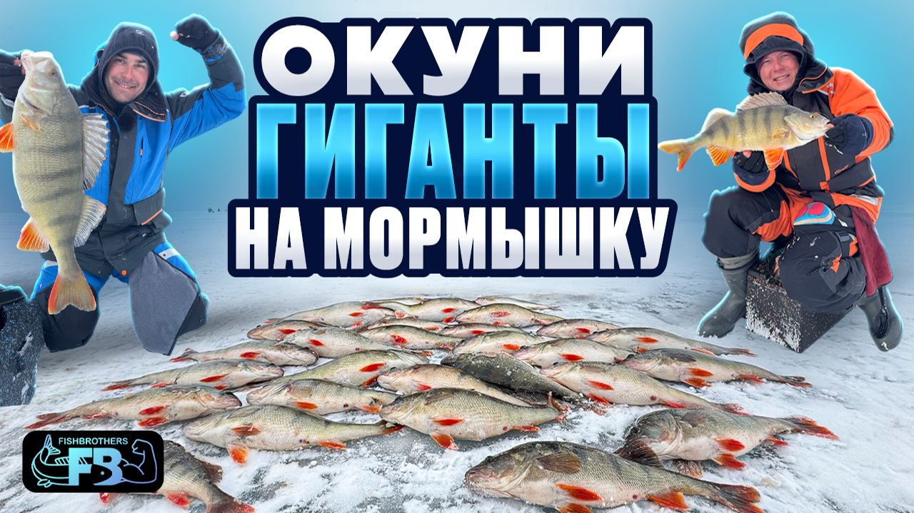 Гигантские Окуни на мормышку! Рыбалка мечты! смотреть онлайн