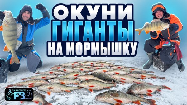 Гигантские Окуни на мормышку! Рыбалка мечты!