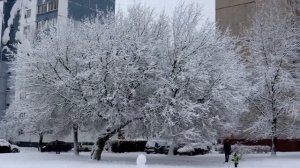 Фотоаппарат Canon EOS 850D. Тест видеосъёмки. В город пришла зима.